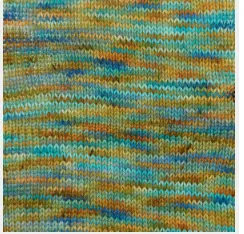 Berroco - Vintage Sock Handpaint